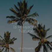 50 Sonidos Pacíficos Para la Relajación Natural