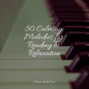50 Calming Melodies for Reading & Relaxation