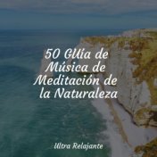 50 GUía de Música de Meditación de la Naturaleza