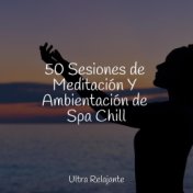50 Sesiones de Meditación Y Ambientación de Spa Chill