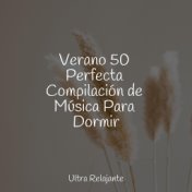 Verano 50 Perfecta Compilación de Música Para Dormir