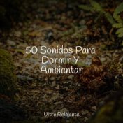 50 Sonidos Para Dormir Y Ambientar