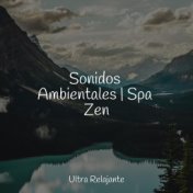 Sonidos Ambientales | Spa Zen