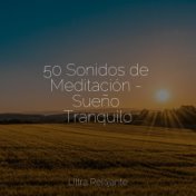 50 Sonidos de Meditación - Sueño Tranquilo