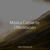 Música Calmante | Meditación