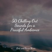 50 Chilling Out Sounds for a Peaceful Ambience