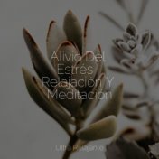 Alivio Del Estrés | Relajación Y Meditación