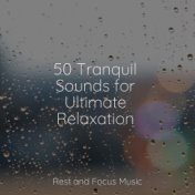 50 Tranquil Sounds for Ultimate Relaxation