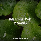 Delicada Paz Y Sueño