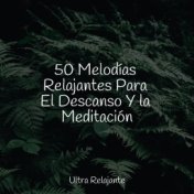 50 Melodías Relajantes Para El Descanso Y la Meditación