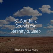 50 Soothing Sounds for Serenity & Sleep