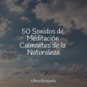 50 Sonidos de Meditación Calmantes de la Naturaleza