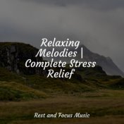 Relaxing Melodies | Complete Stress Relief