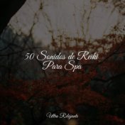 50 Sonidos de Reiki Para Spa