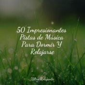 50 Impresionantes Pistas de Música Para Dormir Y Relajarse