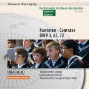 Johann Sebastian Bach: Cantatas / Kantaten BWV 3, BWV 65, BWV 72 (Das Kirchenjahr mit Bach: Epiphanias / The Liturgical Year wit...