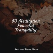 50 Meditation Peaceful Tranquility
