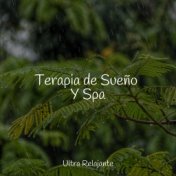 Terapia de Sueño Y Spa