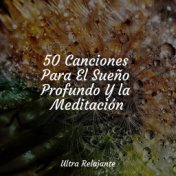 50 Canciones Para El Sueño Profundo Y la Meditación