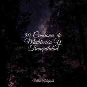 50 Canciones de Meditación Y Tranquilidad