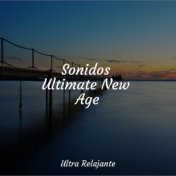 Sonidos Ultimate New Age