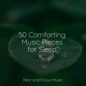 50 Comforting Music Pieces for Sleep