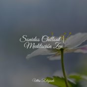 Sonidos Chillout | Meditación Zen