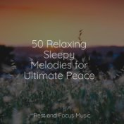 50 Relaxing Sleepy Melodies for Ultimate Peace