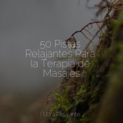 50 Pistas Relajantes Para la Terapia de Masajes