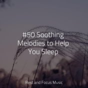#50 Soothing Melodies to Help You Sleep