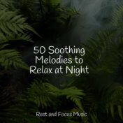 50 Soothing Melodies to Relax at Night