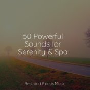 50 Powerful Sounds for Serenity & Spa