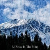 75 Relax In The Mind
