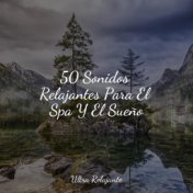 50 Sonidos Relajantes Para El Spa Y El Sueño