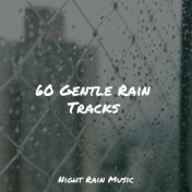 60 Gentle Rain Tracks