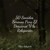 50 Sonidos Serenos Para El Descanso Y la Relajación