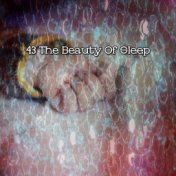 43 The Beauty Of Sleep