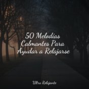 50 Melodías Calmantes Para Ayudar a Relajarse