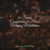 50 Serene Compilation for Stress Relieving Meditation