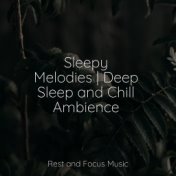 Sleepy Melodies | Deep Sleep and Chill Ambience