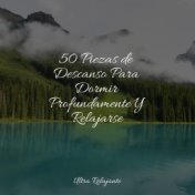 50 Piezas de Descanso Para Dormir Profundamente Y Relajarse