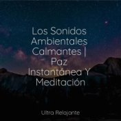 Los Sonidos Ambientales Calmantes | Paz Instantánea Y Meditación