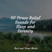 50 Stress Relief Sounds for Sleep and Serenity