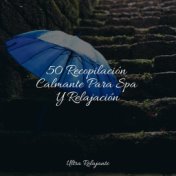 50 Recopilación Calmante Para Spa Y Relajación