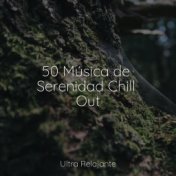 50 Música de Serenidad Chill Out