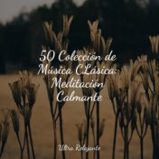 50 Colección de Música CLásica: Meditación Calmante