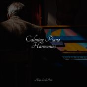 Calming Piano Harmonies