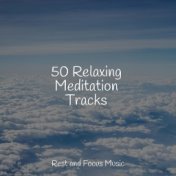 50 Relaxing Meditation Tracks