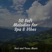 50 Soft Melodies for Spa & Vibes