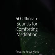 50 Ultimate Sounds for Comforting Meditation